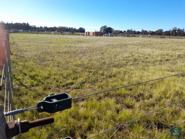 Lote en Venta Maritorena y La Merced de 4200 m²