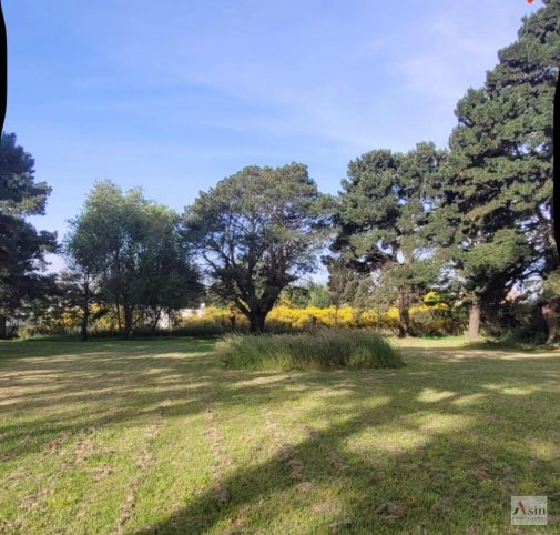 Lote en Venta en Navarro y Santa Cruz
