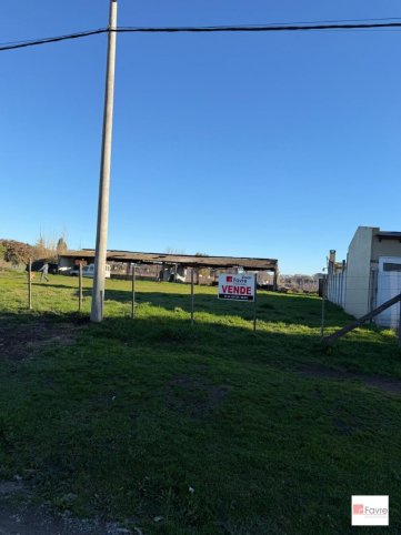 Lote en venta en calle La Merced de 12,45 x 25 m²