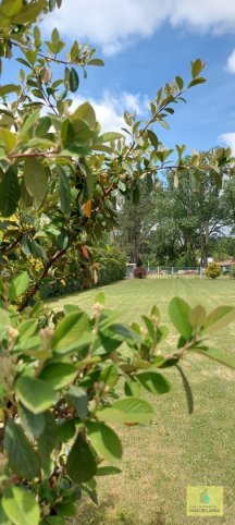 Lote en Venta Dr. Pere 1500