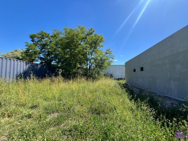 Lote en PH de 200m² en Alvarado 837