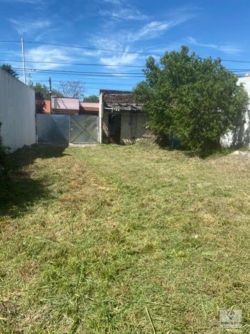 Arenales 300