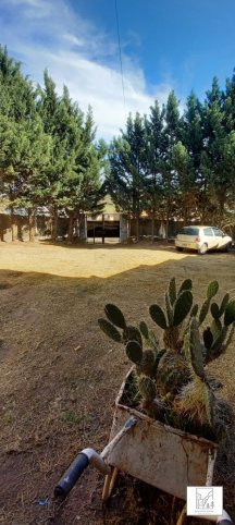 Casa en Alquiler 2 Dormitorios con Jardin — Av. Estrada 698