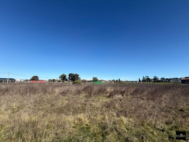 Lote en venta, zona El molino, 4214m²