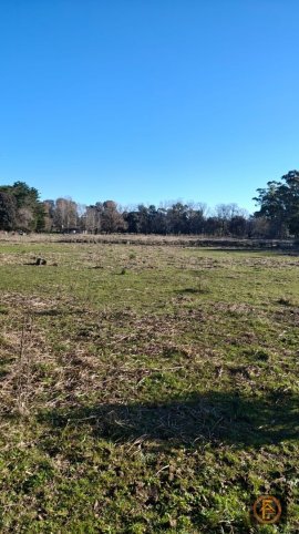 Lote en Venta Los Olmos y Los Alamos