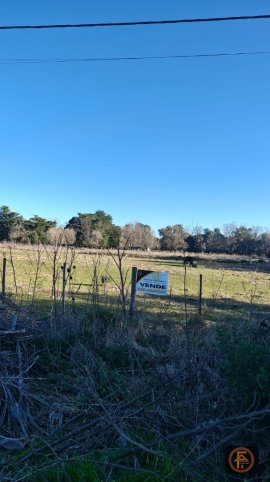 Lote en Venta Los Olmos y Los Alamos