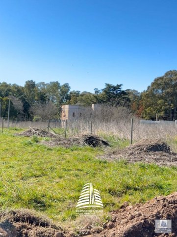 Lote en Venta La Blanca y Palacios 300m²