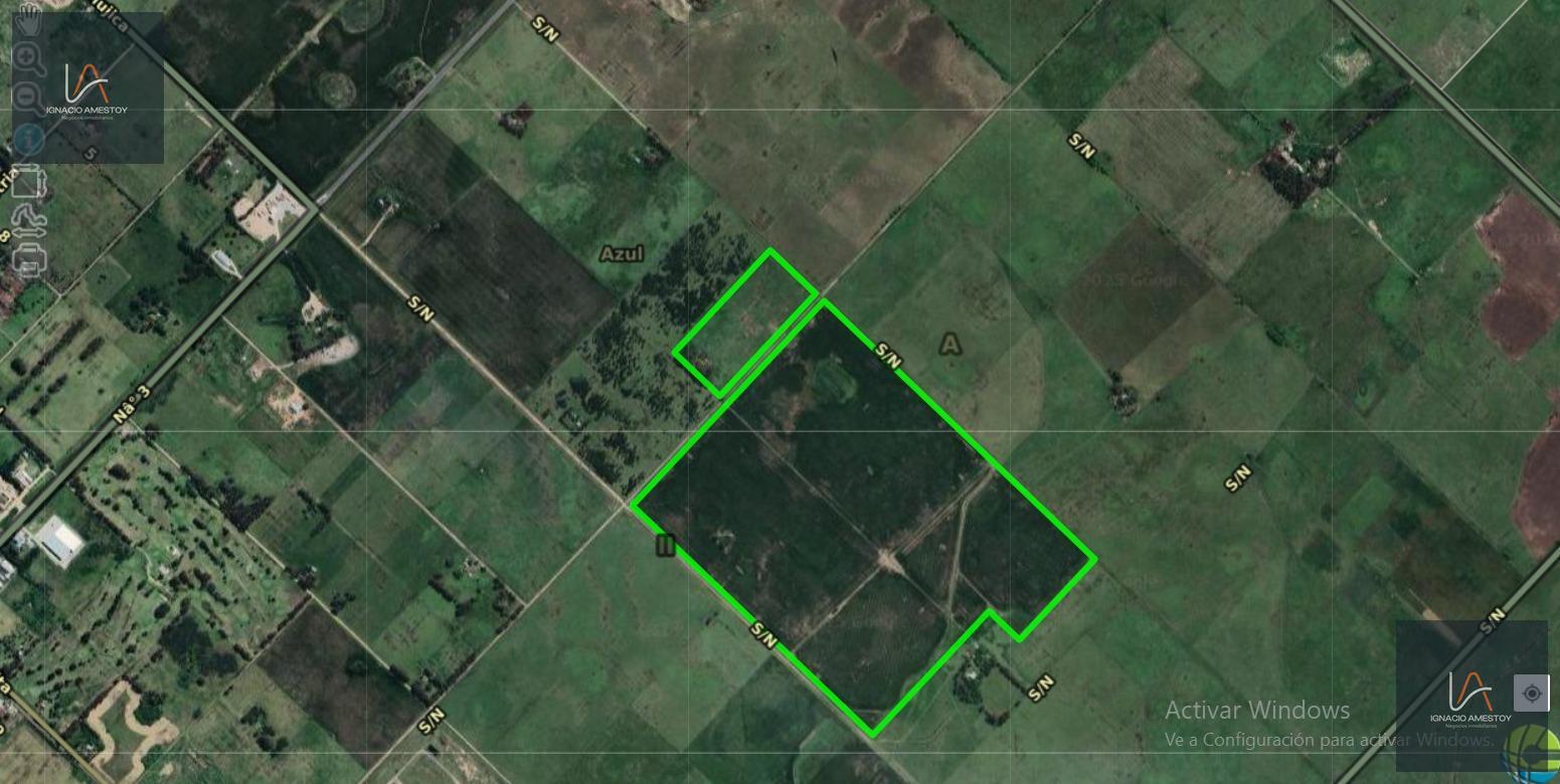 Campo agricola/ganadero de 99 hectáreas — Azul, ruta 3