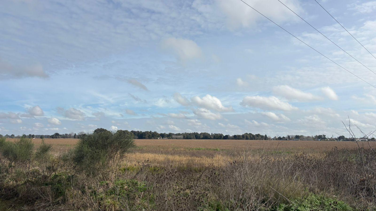 Campo en Venta — Azul