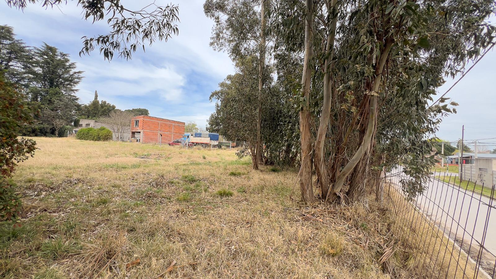Terreno en Venta — Palacios al 1800