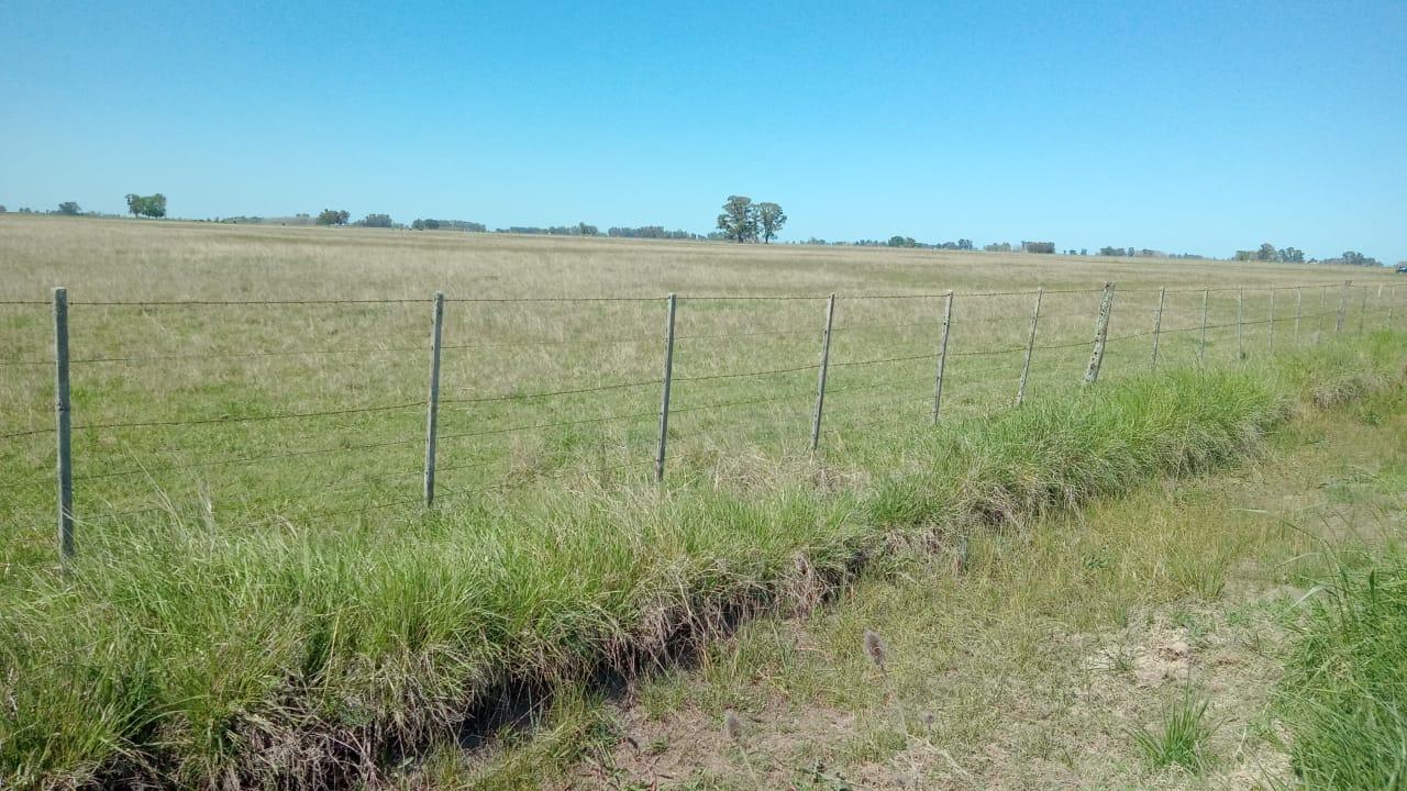 Campo en venta de 49 Ha ideal para actividades ganaderas — Rauch