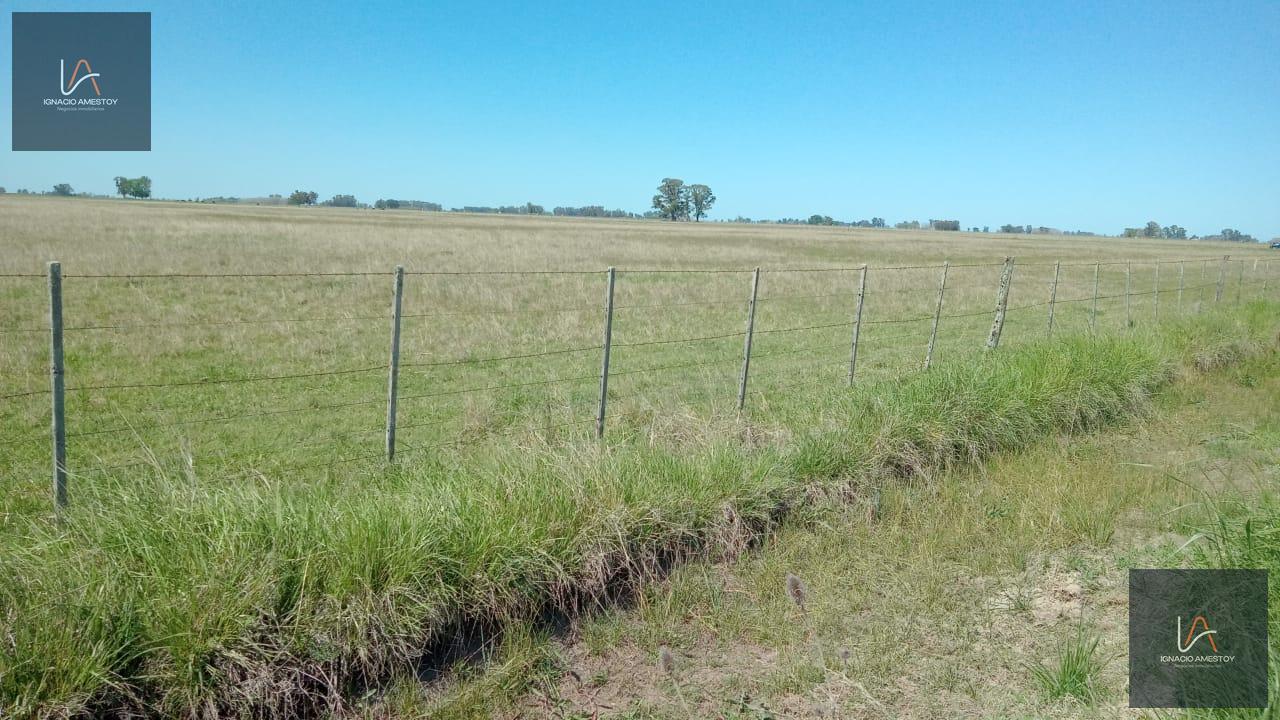 Campo en venta de 49 Ha ideal para actividades ganaderas — Rauch